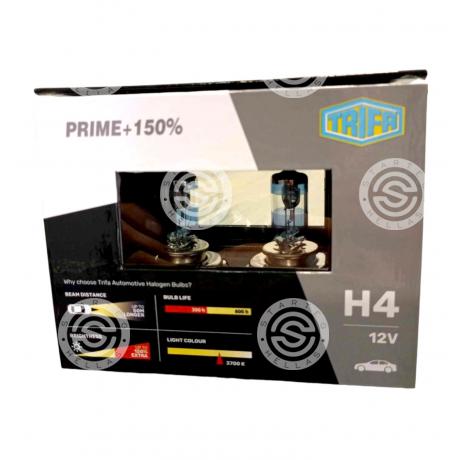 TR92661 | starteg.gr